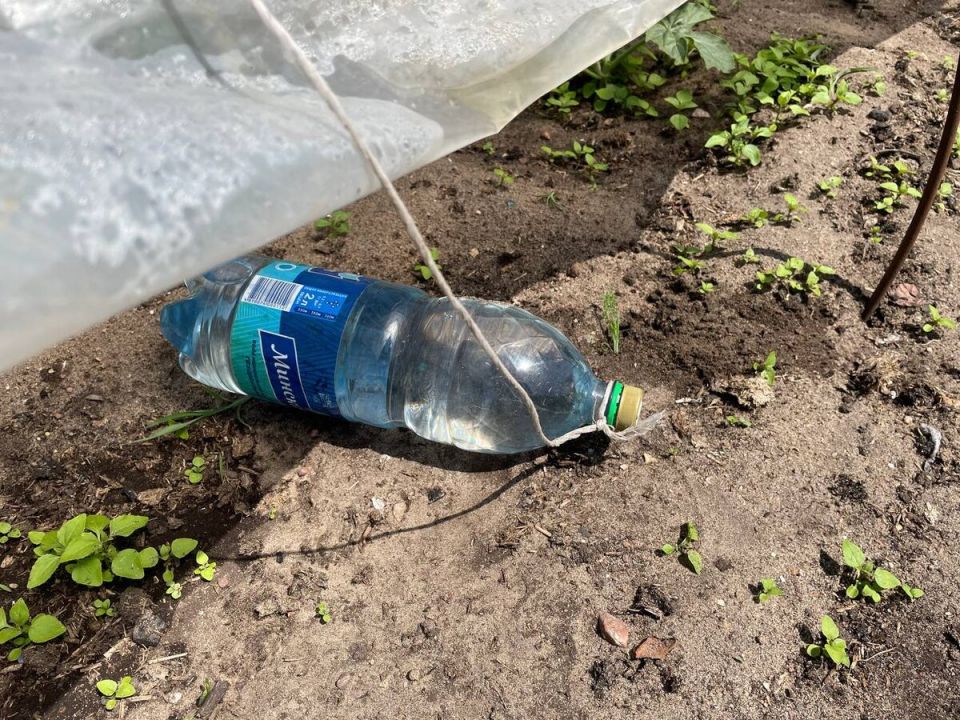 ����� ������: ��� ������� ������ �� ������� � ������� ����������� �������