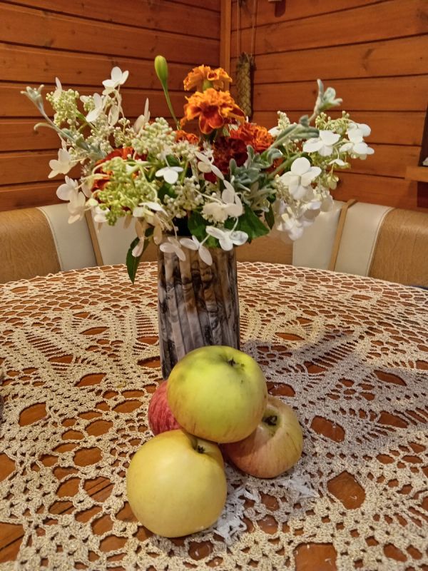 Три причины, почему ваши плодовые деревья не растут: откровение для садоводов