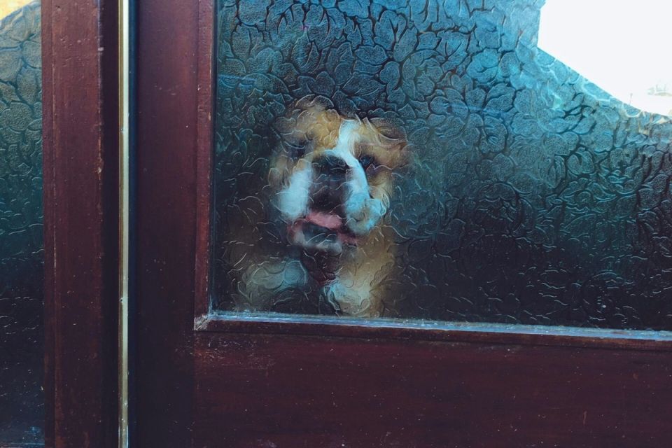 ��� ����� � ��������� �������� ������� ������: 5 ��������