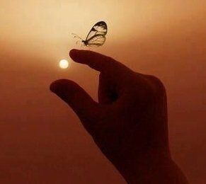 ��� ����� ������ �� �������������� � ���������� ����������