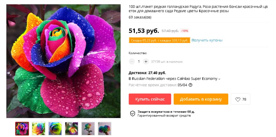 Новая сенсация в мире цветов: стоит ли инвестировать в семена радужной розы?