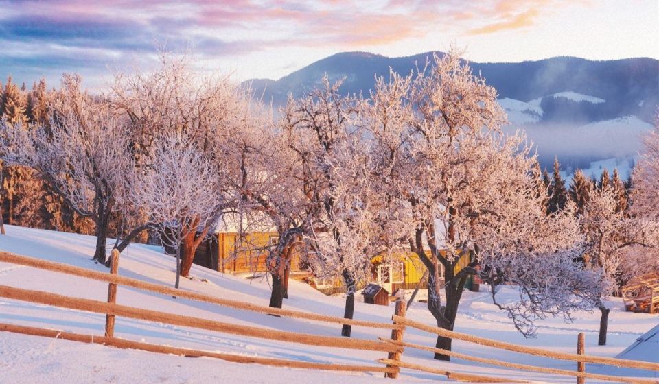 ������ ������ ����� �������� ��� ����� ��� �� ��������