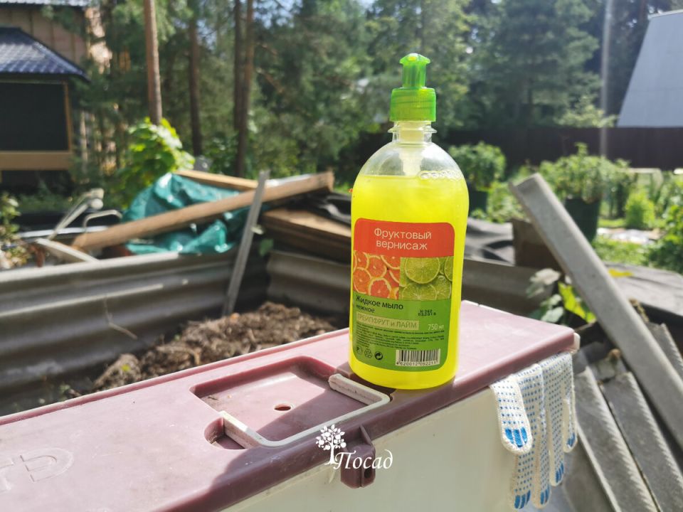 ������ �������� ���� ���������: ����������� �������� ����� ����������